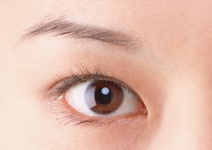 サプリメントの原材料フコイダン